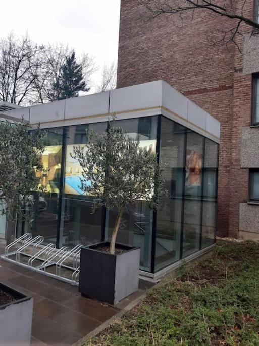 Gemutlich Und Moderne Wohnung In 杜塞尔多夫 外观 照片